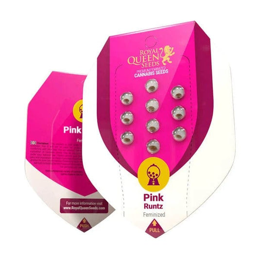 Pink Runtz Royal Queen Seeds