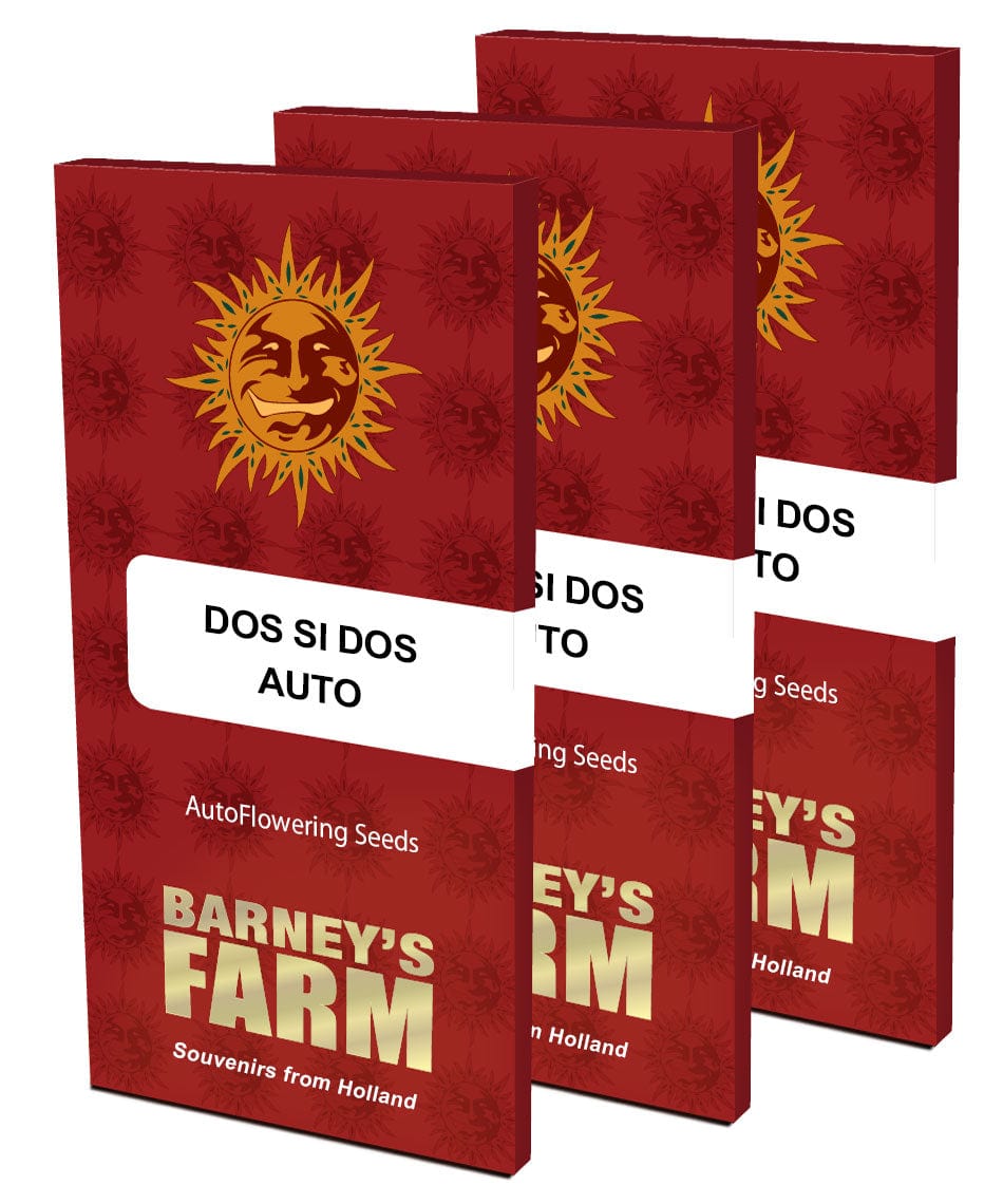 Barney's Farm Dos Si Dos Auto