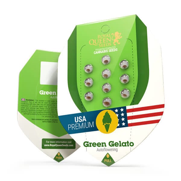 Royal Queen Seeds Green Gelato Automatic
